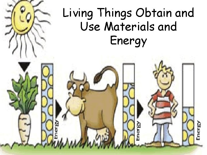 Living Things Obtain and Use Materials and Energy 