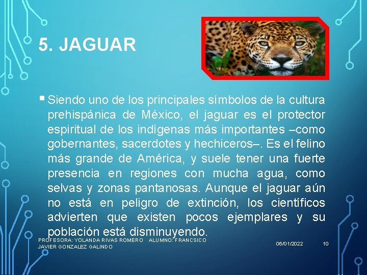5. JAGUAR § Siendo uno de los principales símbolos de la cultura prehispánica de