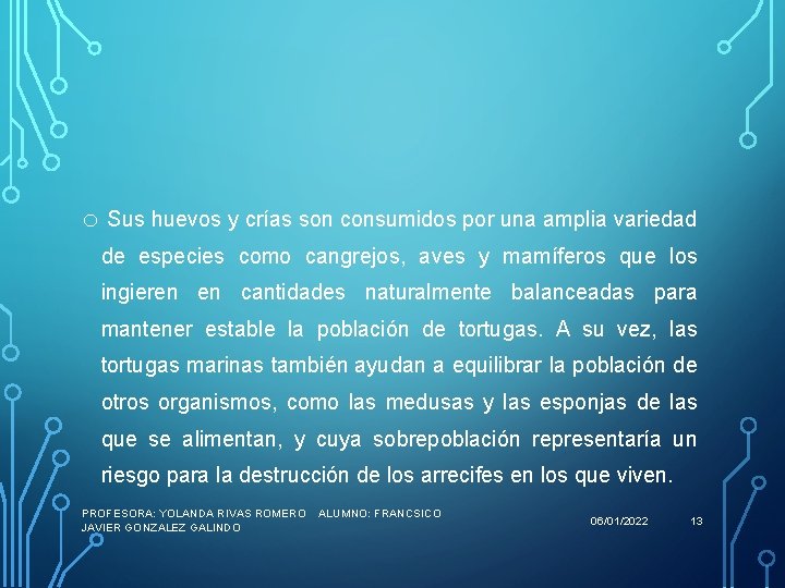 o Sus huevos y crías son consumidos por una amplia variedad de especies como