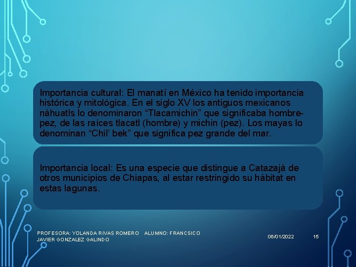 Importancia cultural: El manatí en México ha tenido importancia histórica y mitológica. En el