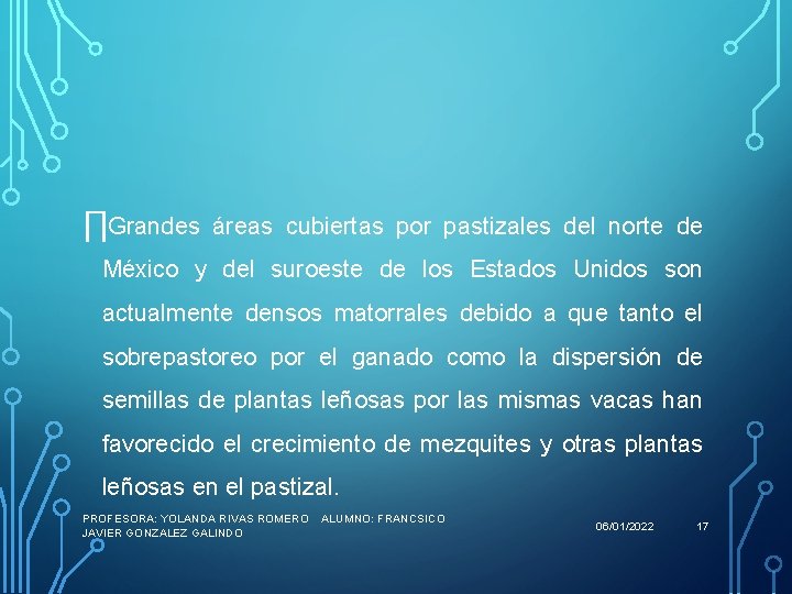 ∏Grandes áreas cubiertas por pastizales del norte de México y del suroeste de los