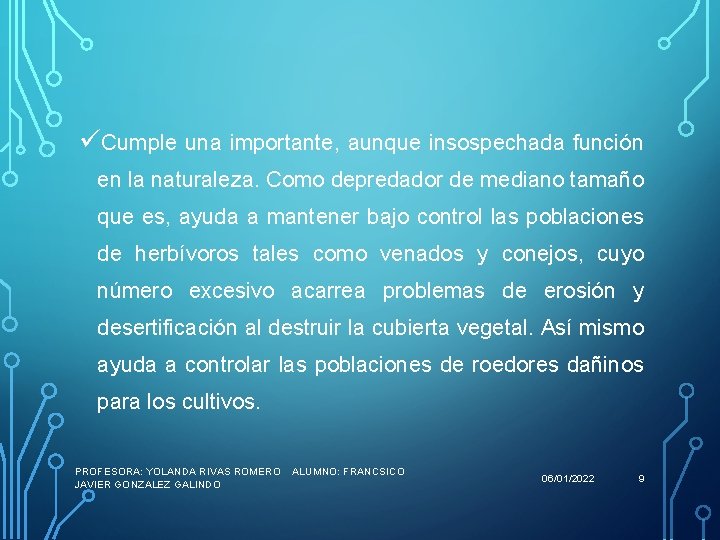 üCumple una importante, aunque insospechada función en la naturaleza. Como depredador de mediano tamaño