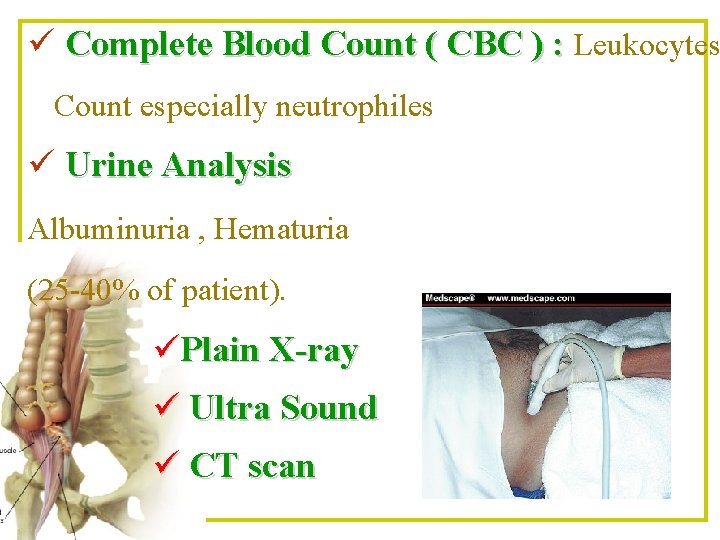 ü Complete Blood Count ( CBC ) : Leukocytes Count especially neutrophiles ü Urine