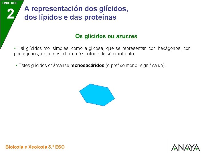 UNIDADE 2 A representación dos glícidos, dos lípidos e das proteínas Os glícidos ou