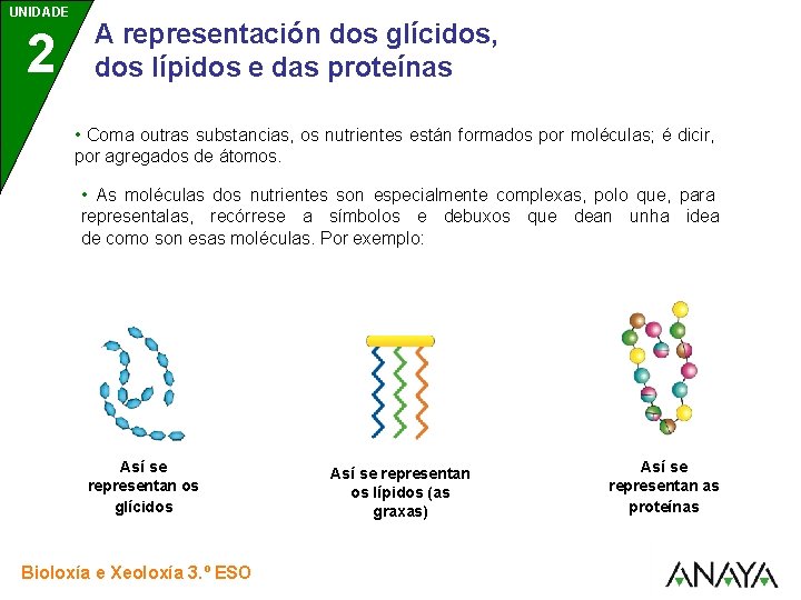 UNIDADE 2 A representación dos glícidos, dos lípidos e das proteínas • Coma outras