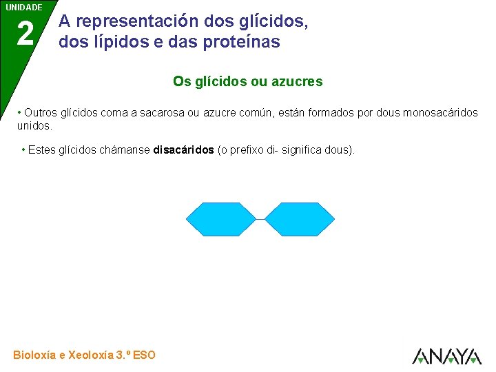 UNIDADE 2 A representación dos glícidos, dos lípidos e das proteínas Os glícidos ou