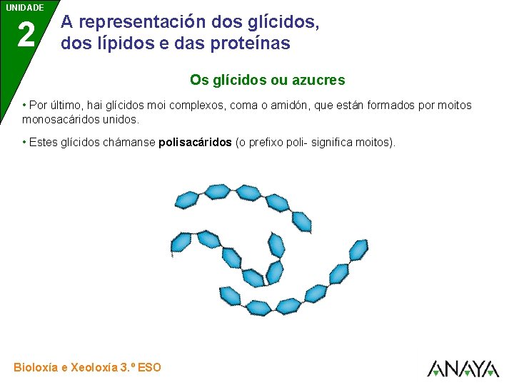 UNIDADE 2 A representación dos glícidos, dos lípidos e das proteínas Os glícidos ou