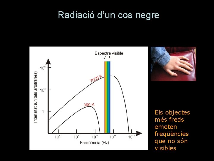 Radiació d’un cos negre Els objectes més freds emeten freqüències que no són visibles