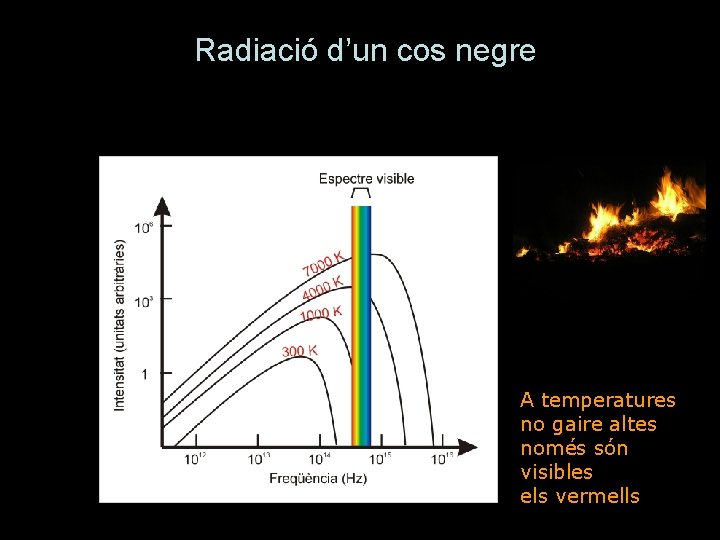 Radiació d’un cos negre A temperatures no gaire altes només són visibles els vermells