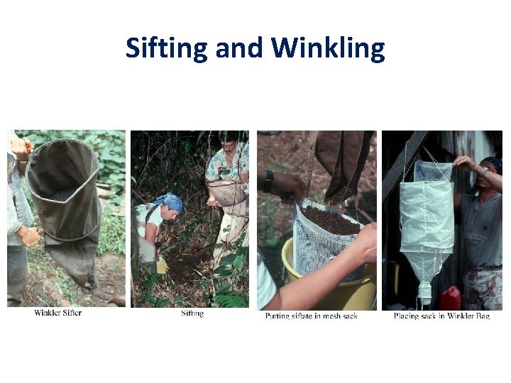 Sifting and Winkling 