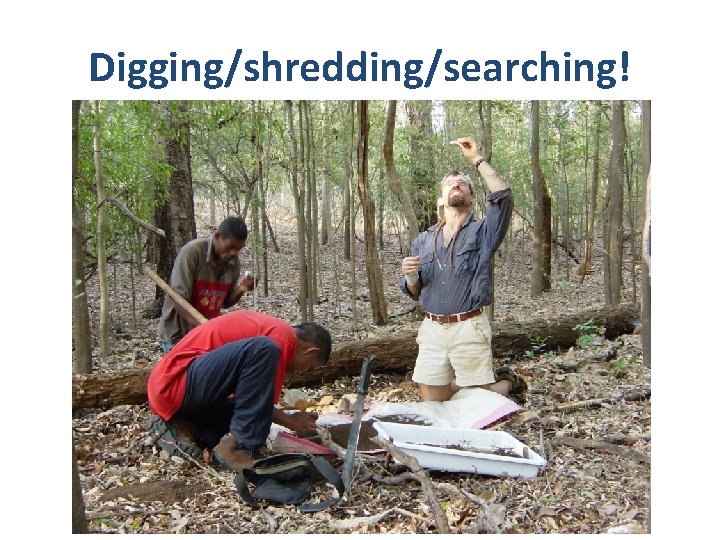 Digging/shredding/searching! 