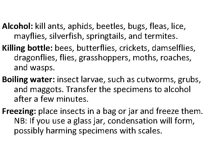 Alcohol: kill ants, aphids, beetles, bugs, fleas, lice, mayflies, silverfish, springtails, and termites. Killing