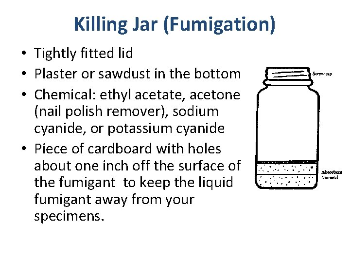 Killing Jar (Fumigation) • Tightly fitted lid • Plaster or sawdust in the bottom