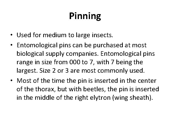 Pinning • Used for medium to large insects. • Entomological pins can be purchased