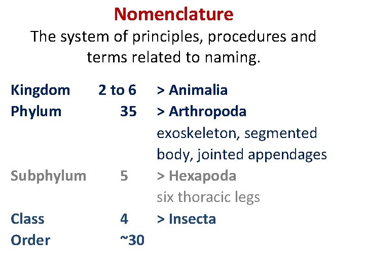 Nomenclature The system of principles, procedures and terms related to naming. Kingdom Phylum 2