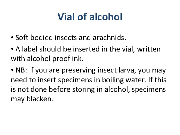 Vial of alcohol • Soft bodied insects and arachnids. • A label should be