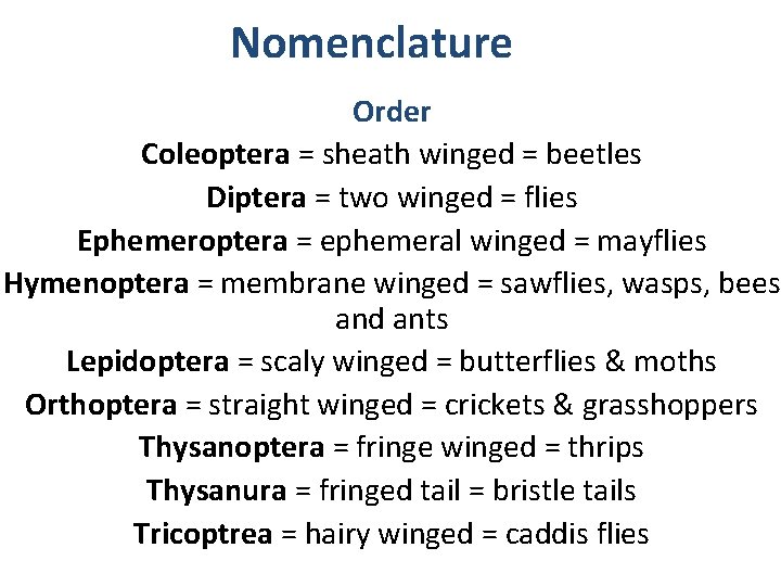 Nomenclature Order Coleoptera = sheath winged = beetles Diptera = two winged = flies