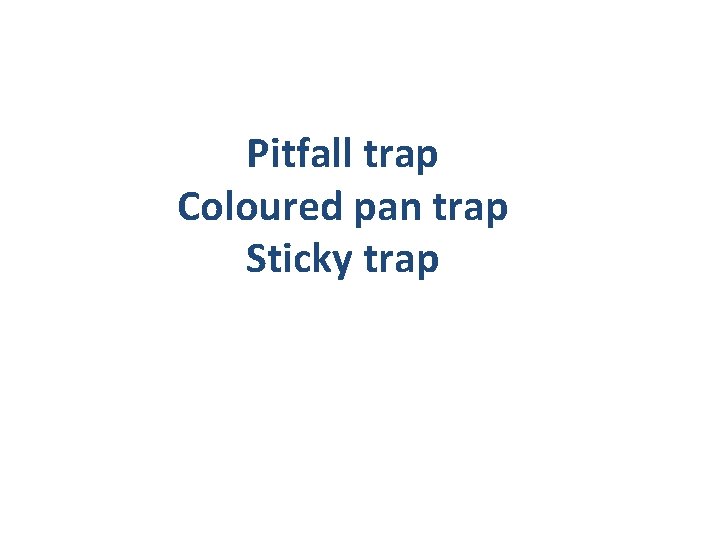 Pitfall trap Coloured pan trap Sticky trap 