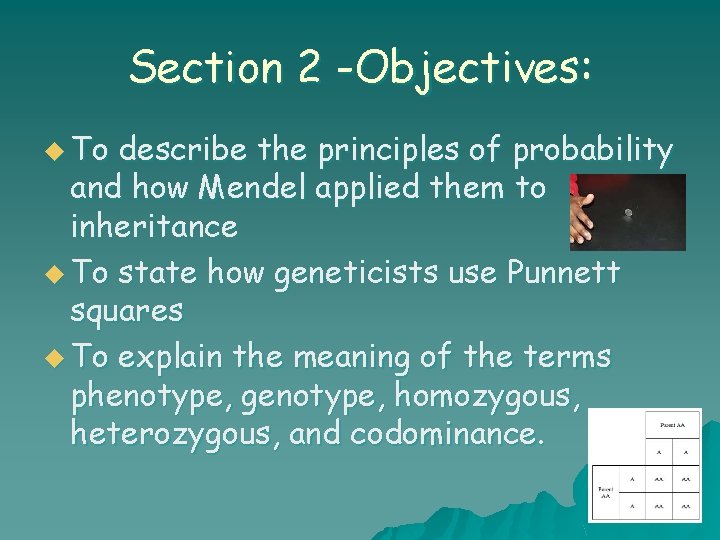 Section 2 -Objectives: u To describe the principles of probability and how Mendel applied