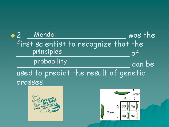 u 2. Mendel ___________ was the first scientist to recognize that the principles ____________