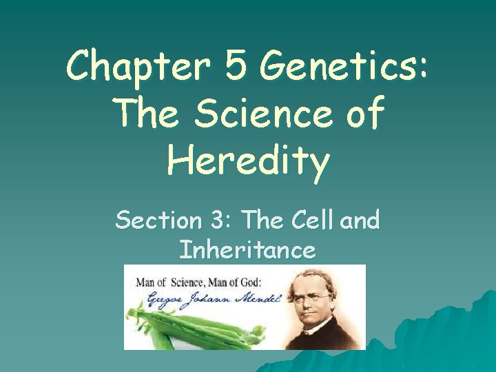 Chapter 5 Genetics: The Science of Heredity Section 3: The Cell and Inheritance 