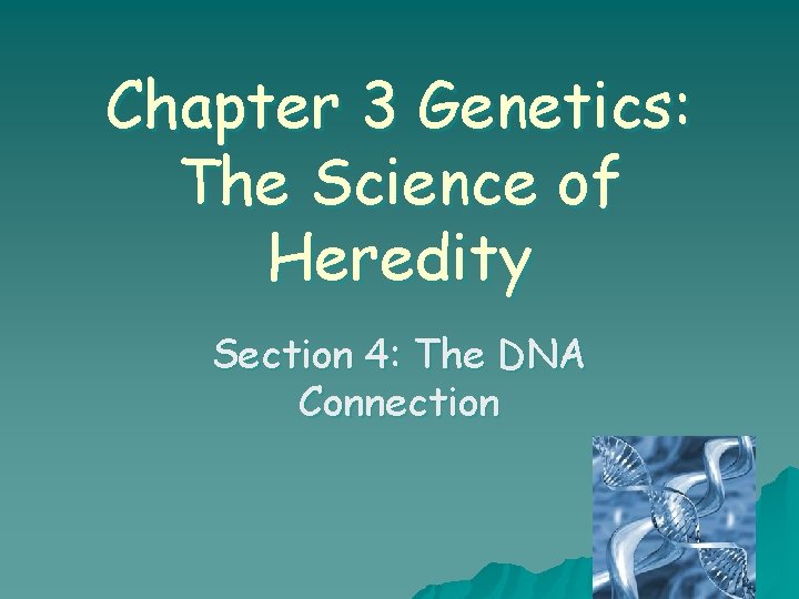 Chapter 3 Genetics: The Science of Heredity Section 4: The DNA Connection 