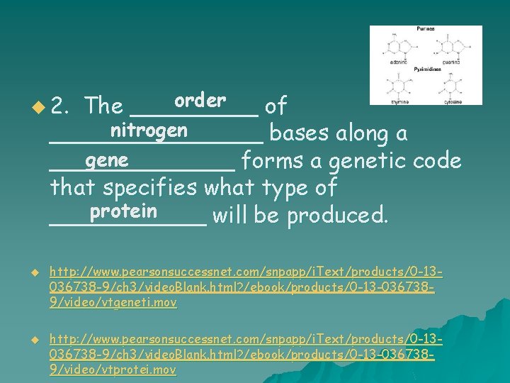 order The _____ of nitrogen ________ bases along a gene _______ forms a genetic