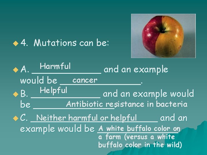 u 4. Mutations can be: Harmful u A. ______ and an example cancer would