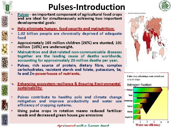 • • • Pulses-Introduction Pulses – an important component of agricultural food crops • • • Pulses-Introduction Pulses – an important component of agricultural food crops