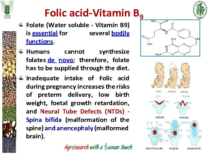Folic acid-Vitamin B 9 Folate (Water soluble - Vitamin B 9) is essential for Folic acid-Vitamin B 9 Folate (Water soluble - Vitamin B 9) is essential for