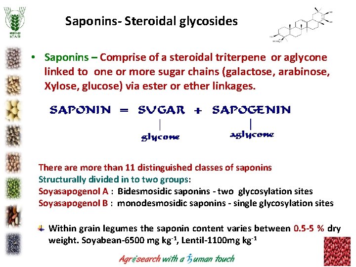 Saponins- Steroidal glycosides • Saponins – Comprise of a steroidal triterpene or aglycone linked Saponins- Steroidal glycosides • Saponins – Comprise of a steroidal triterpene or aglycone linked