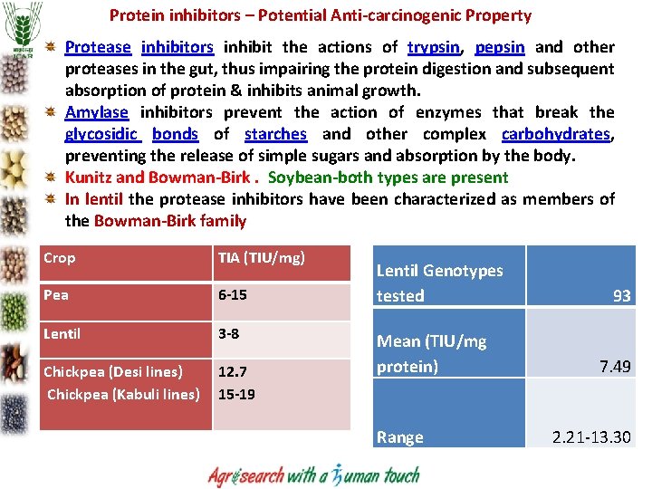 Protein inhibitors – Potential Anti-carcinogenic Property Protease inhibitors inhibit the actions of trypsin, pepsin Protein inhibitors – Potential Anti-carcinogenic Property Protease inhibitors inhibit the actions of trypsin, pepsin