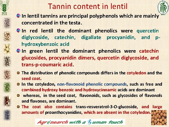Tannin content in lentil In lentil tannins are principal polyphenols which are mainly concentrated Tannin content in lentil In lentil tannins are principal polyphenols which are mainly concentrated