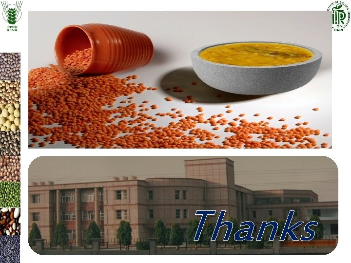 Thanks Thanks