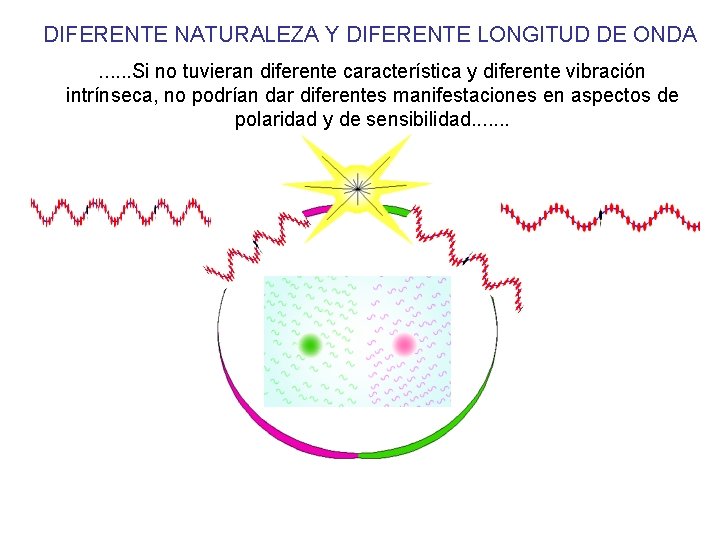 DIFERENTE NATURALEZA Y DIFERENTE LONGITUD DE ONDA. . . Si no tuvieran diferente característica