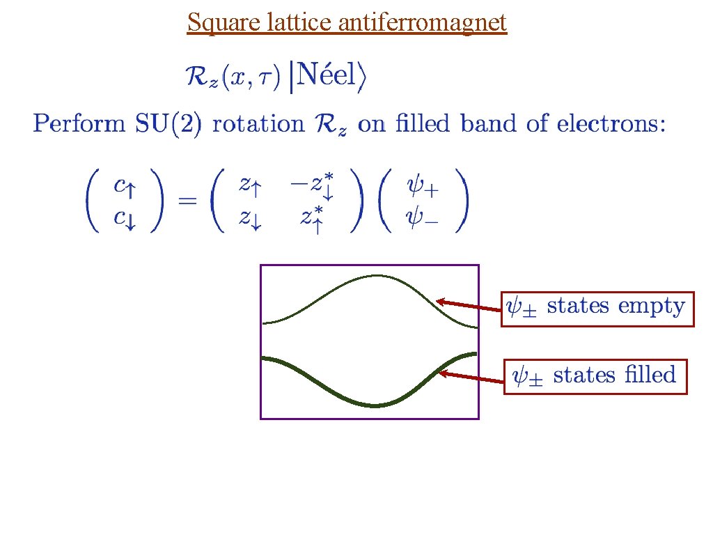 Square lattice antiferromagnet 