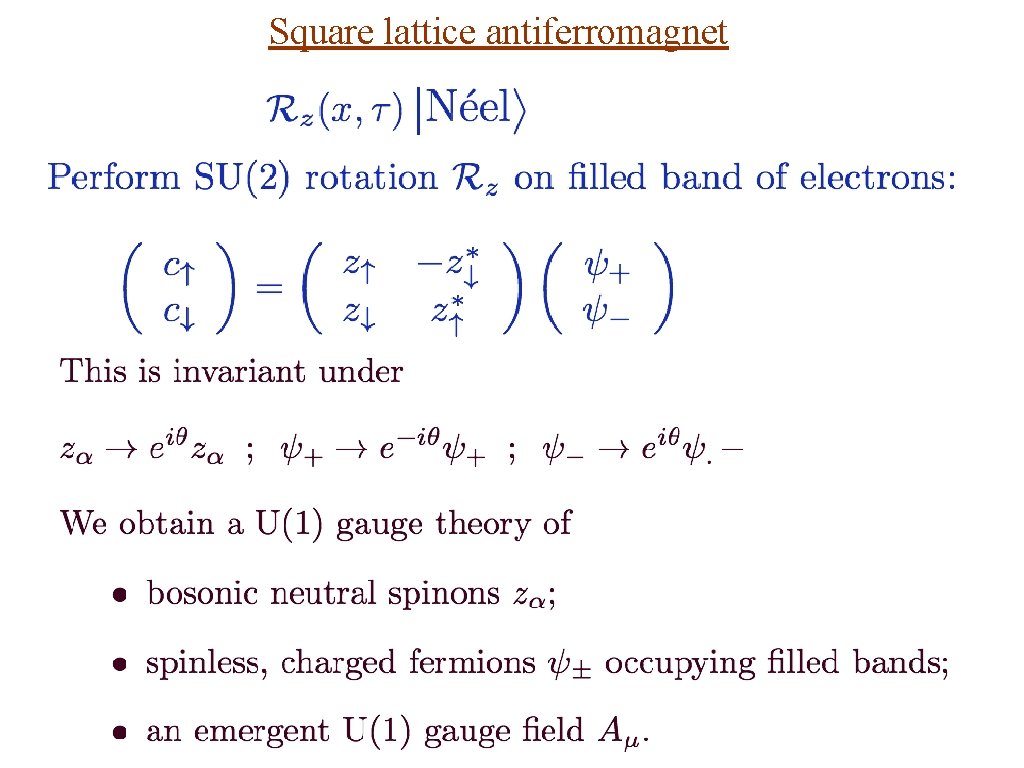 Square lattice antiferromagnet 