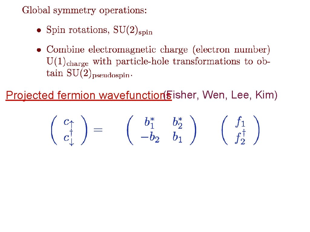 (Fisher, Wen, Lee, Kim) Projected fermion wavefunctions 