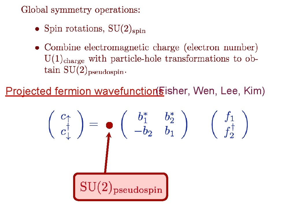 (Fisher, Wen, Lee, Kim) Projected fermion wavefunctions 