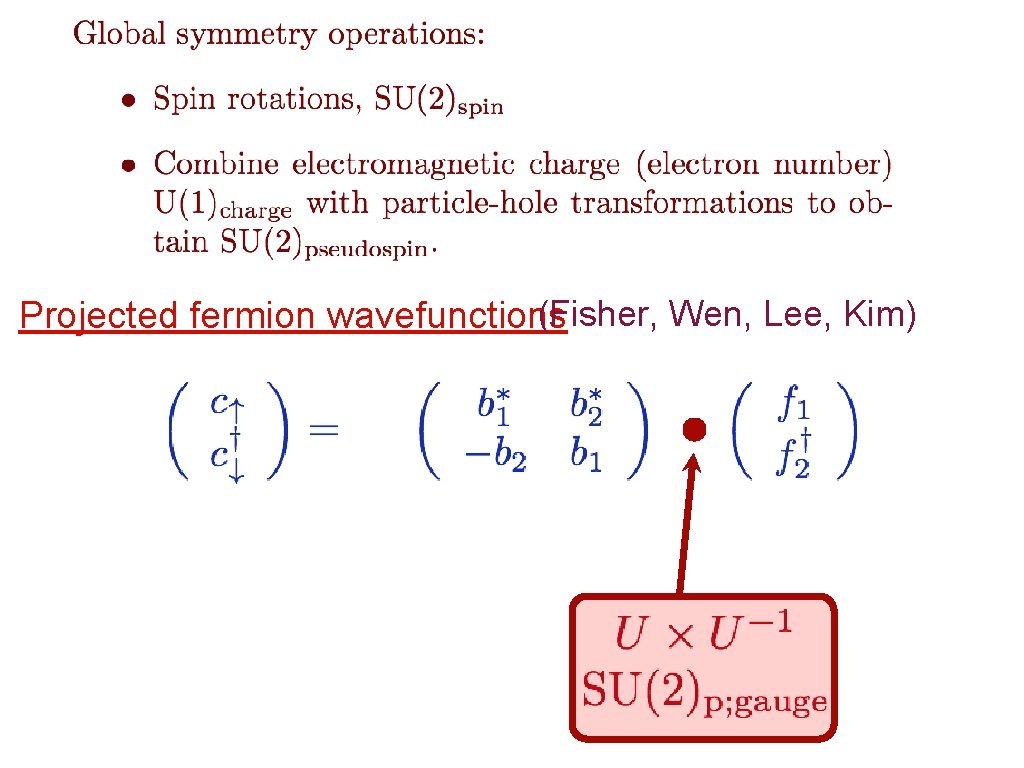 (Fisher, Wen, Lee, Kim) Projected fermion wavefunctions 