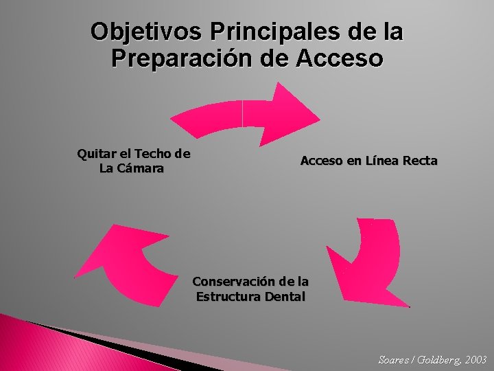Objetivos Principales de la Preparación de Acceso Quitar el Techo de La Cámara Acceso