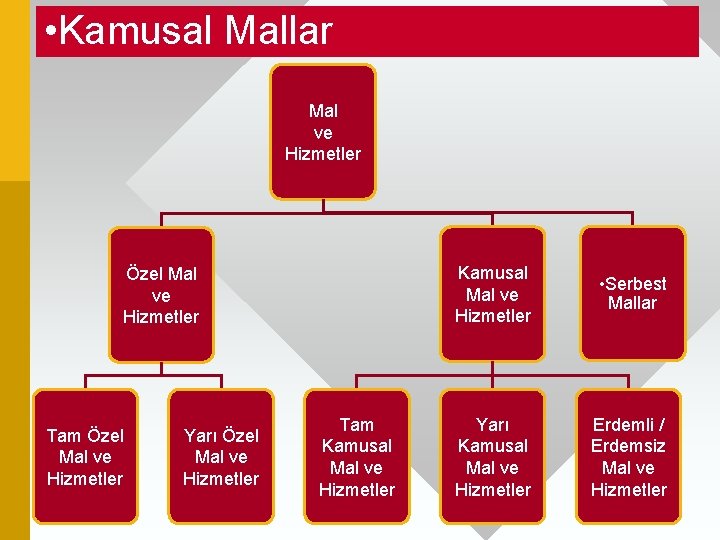  • Kamusal Mallar Mal ve Hizmetler Özel Mal ve Hizmetler Tam Özel Mal