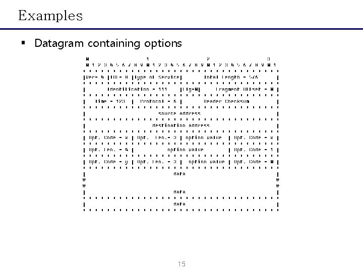 Examples § Datagram containing options 15 