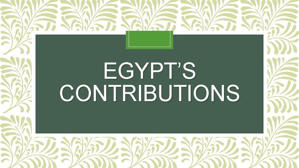 EGYPT’S CONTRIBUTIONS EGYPT’S CONTRIBUTIONS