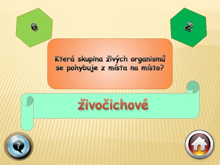 Ž 6 živočichové 