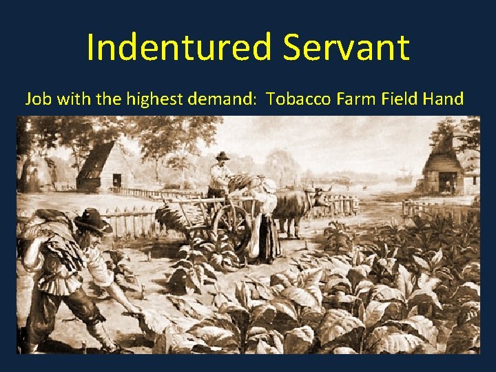 Indentured Servant Job with the highest demand: Tobacco Farm Field Hand 