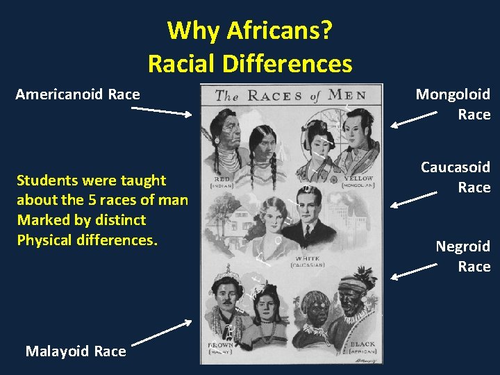 Why Africans? Racial Differences Americanoid Race Students were taught about the 5 races of