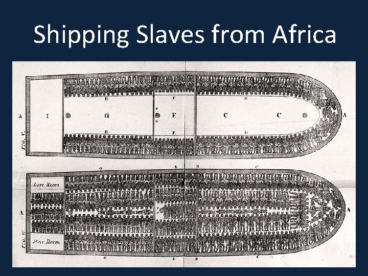 Shipping Slaves from Africa 