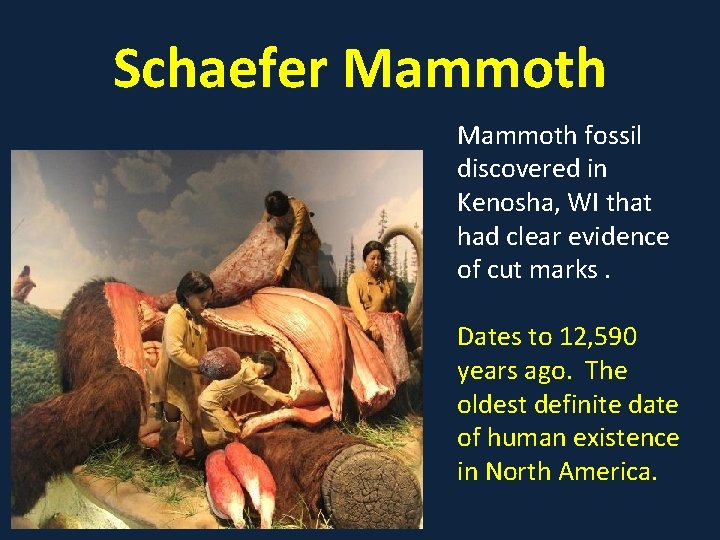 Schaefer Mammoth fossil discovered in Kenosha, WI that had clear evidence of cut marks.