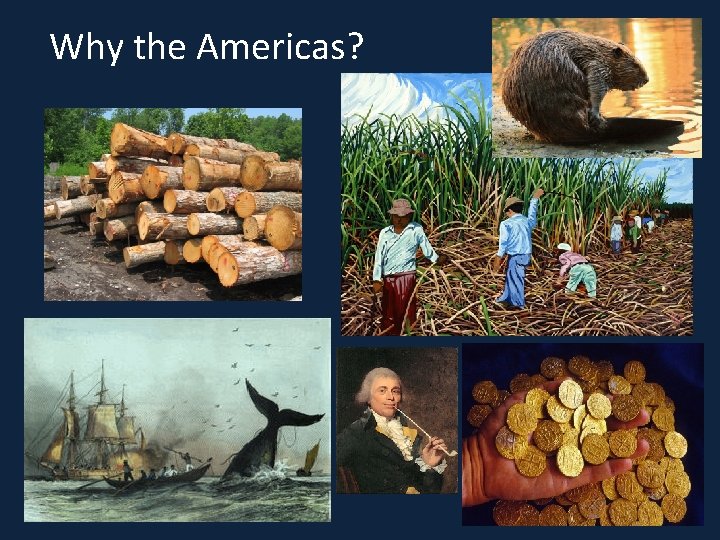 Why the Americas? 
